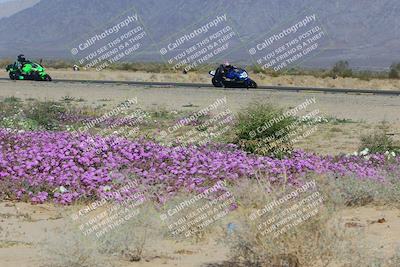 media/Feb-04-2023-SoCal Trackdays (Sat) [[8a776bf2c3]]/Turn 15 Inside Blooming (1050am)/